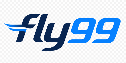 fly99